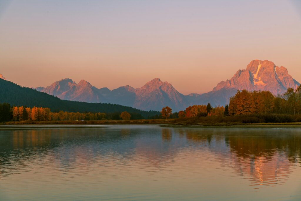 String Lake shoreline surrounded by pine forest and calm reflective water with Teton mountains in the distance — peaceful Grand Teton elopement location.